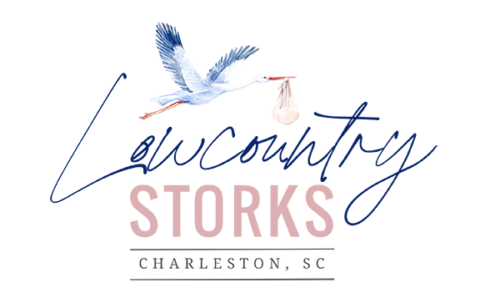 Low Country Stork - Stork Sign Rental in Charleston, SC